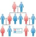 <p>characteristics and traits passed on from parents to their offspring</p>