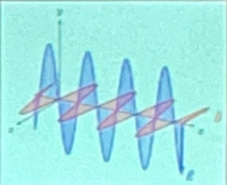 <p>EM waves are also called </p>
