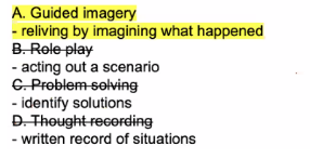 <p>A. Guided imagery</p><p></p>