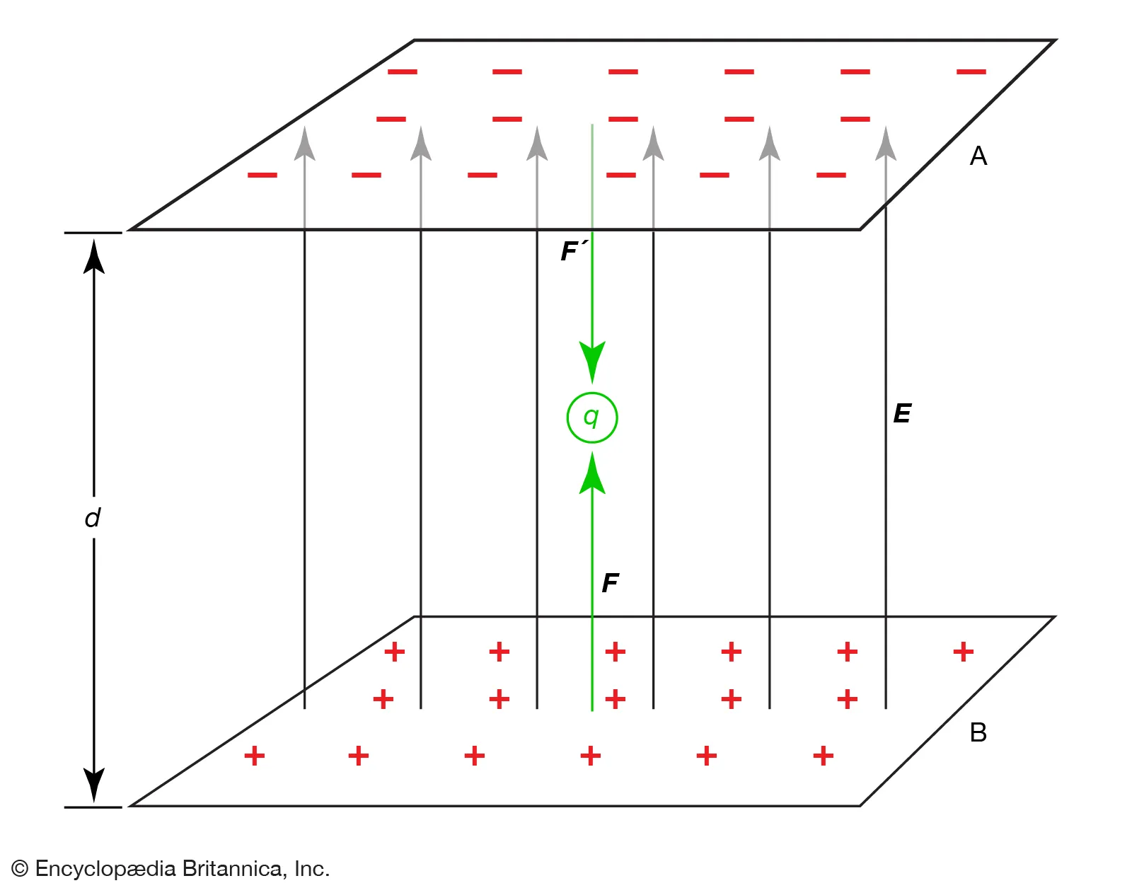 <p>magnitude of the voltage increases</p>