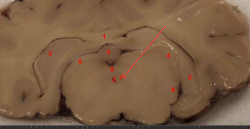 <p>what is this </p>