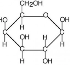<p>Identify which organic compound it is found in</p>