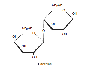 <p>can only have 0 or 1 reducing end</p><p>ex: lactose has one reducing end</p>