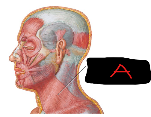 <p>Define A</p>