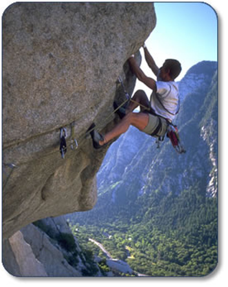 <p>daring</p>