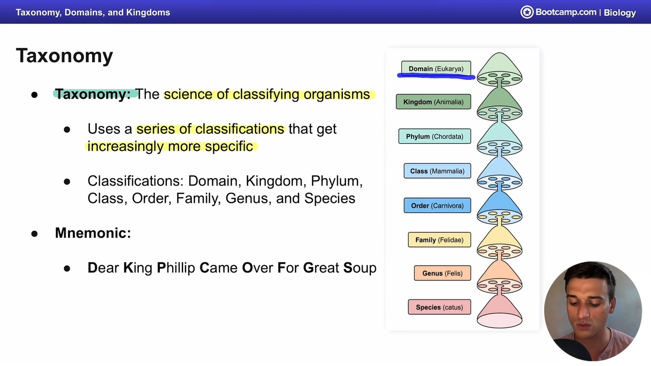 <p>the science of classifying organisms</p>