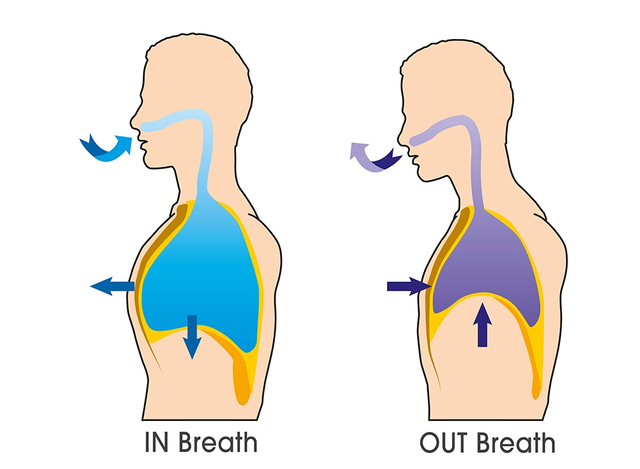 <p>breathing</p>
