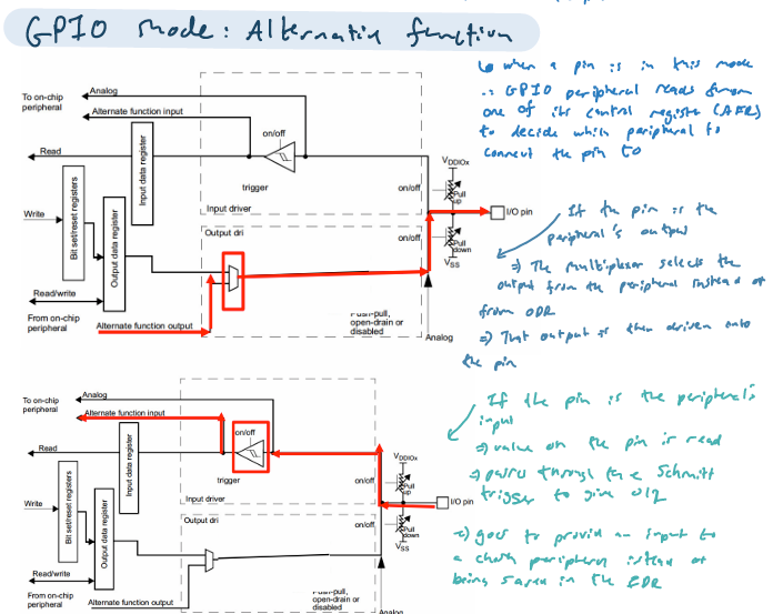 knowt flashcard image