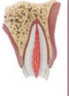 <p>What is this?</p>