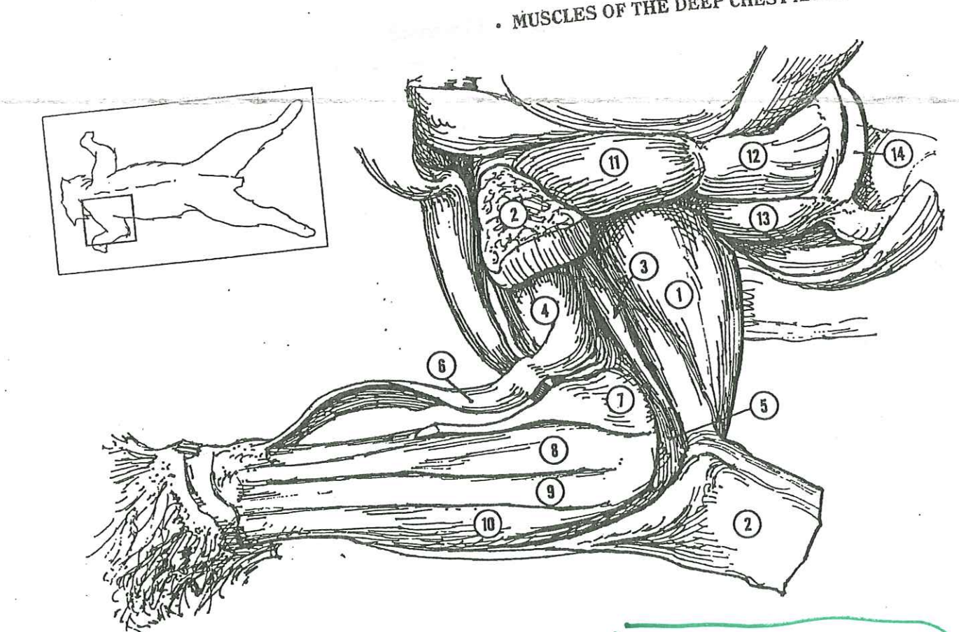 <p>Name 7</p>
