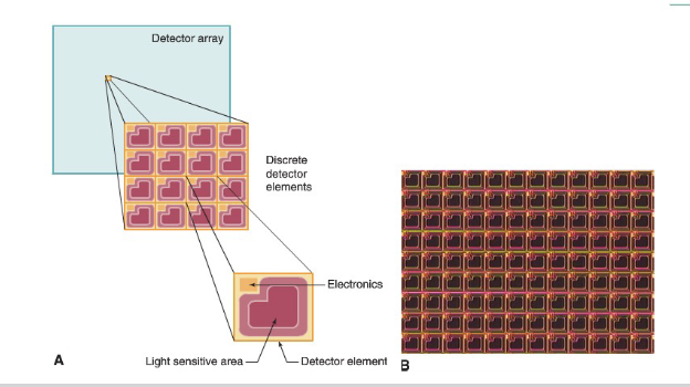 <ul><li><p>thin film transistors</p></li><li><p>âhybridâ of CCD and CMOS</p></li><li><p>some simple circuitry</p></li><li><p>amorphous silicon = cheaper</p></li><li><p>large areas relatively cheaply</p></li></ul><p></p>