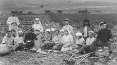 <p>Collective farm(s) in Israel credited with high economic success. While they did develop drip irrigation in the in the sixties, the impact of kibbutzim is overstated despite significant establishment of kibbutzim from independence to 1980.</p>