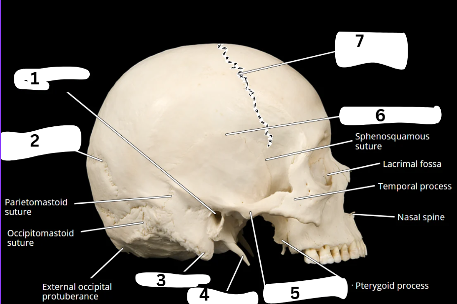 <p>What is 6?</p>