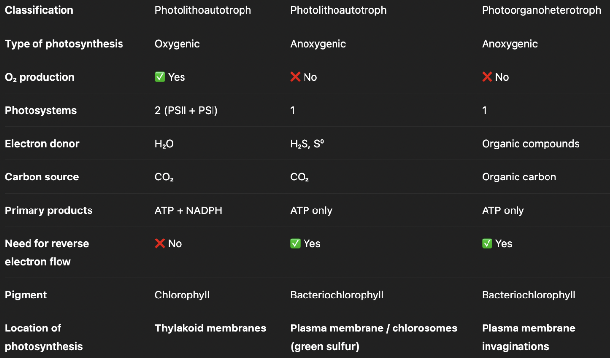 <p><u>similiarities</u>:</p><ul><li><p>phototrophs - use light as energy source → ETC → PMF → ATP</p></li></ul><p><u>differences</u>:</p><ul><li><p><span style="background-color: transparent;"><strong>Photolithoautotrophs</strong>: inorganic electron & carbon source; undergoes carbon fixation to make carbon source usable for biosynthesis</span></p><ul><li><p><span style="background-color: transparent;">chlorophyll-based phototrophy</span></p></li></ul></li><li><p><span style="background-color: transparent;"><strong>Photoorganoheterotrophs</strong>: uses organic carbon from environment that is ready for biosynthesis</span></p><ul><li><p><span style="background-color: transparent;">rhodopsin-based phototrophy → does not form NADPH, requires reverse electron flow</span></p></li></ul></li></ul><p></p>