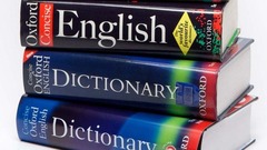 <p>dictionary (ies)</p>