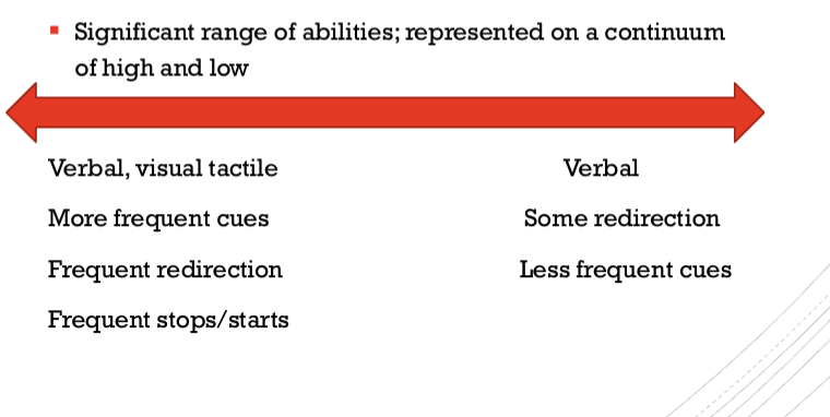 <p>Level 3: Allen Cognitive </p>