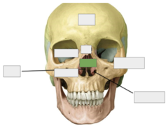 <p>This is the</p>