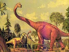 <p>Lower because they would not be as active so they won't need to eat as much food</p>