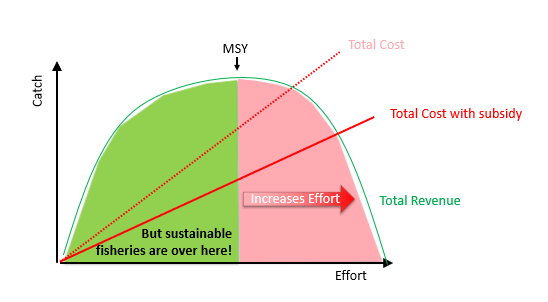<p>can change the relationship between cost and fishing effort lowering the slope of this linear relationship</p>