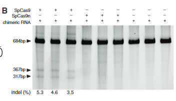 <p>explain fig 4 B cong</p>