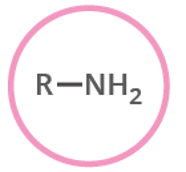 <p>(-amine), nitrogen-based, ex. ethanamine</p>