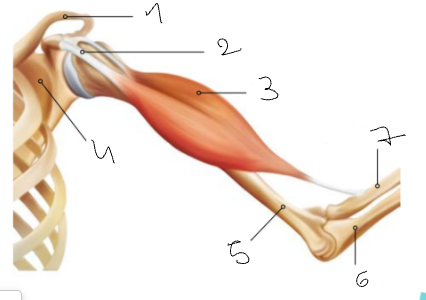 <p>Wat is nummer 5</p>