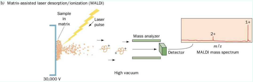 <p>What are the 2 main ionization methods?</p>