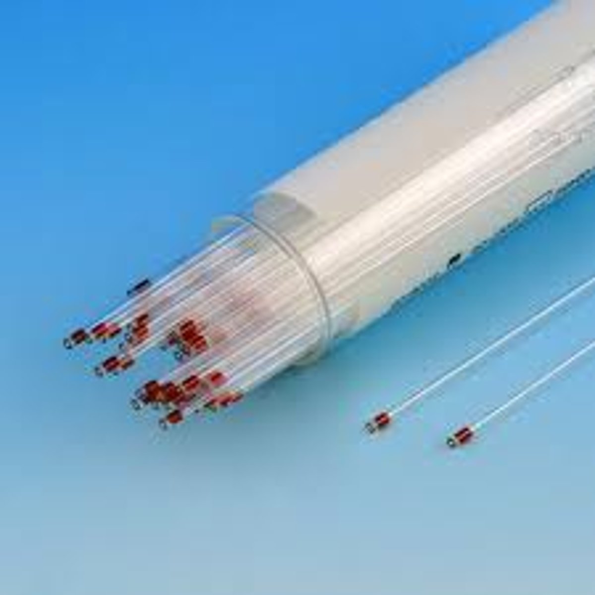 <p>What are these tubes called?</p>