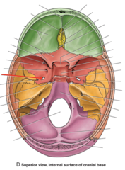 <p>What is the red arrow pointing to?</p>
