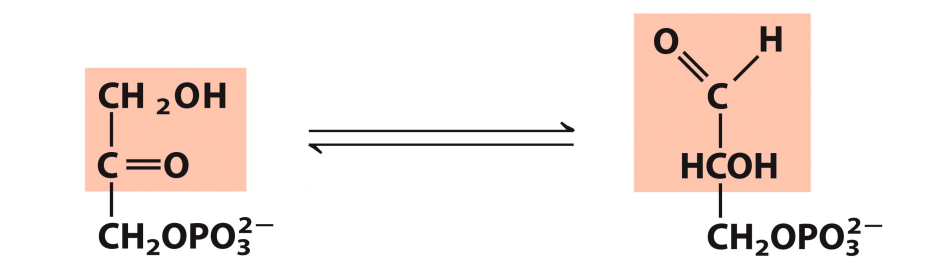 <p>What enzyme catalyzes this reaction? What are the intermediates, if any?</p>