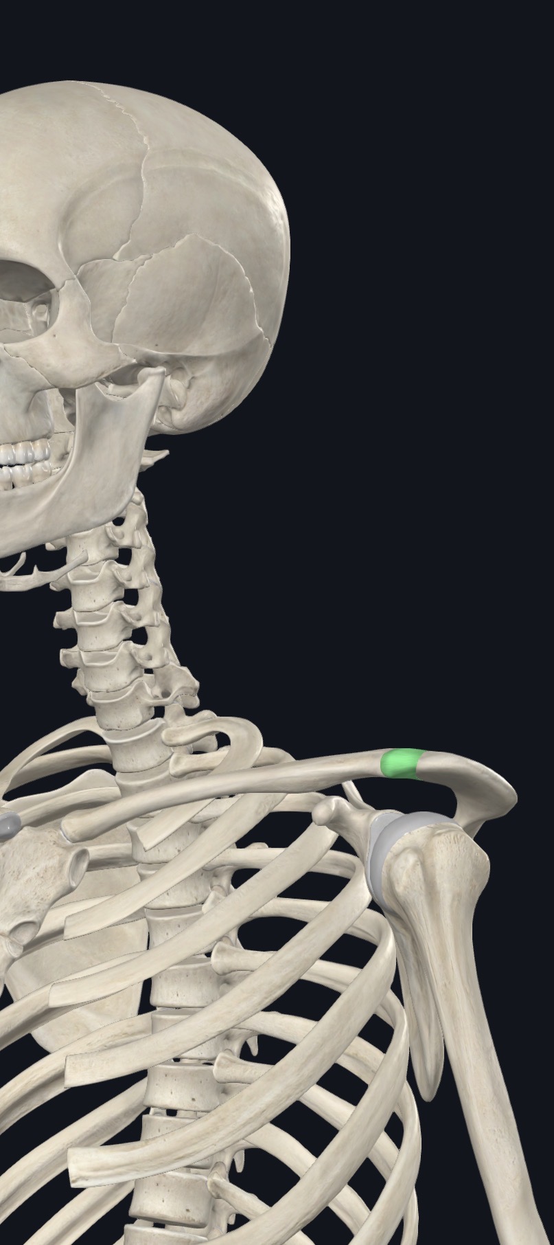 <p>what is this?</p>