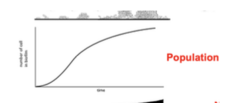 <p>Increase in population= more need for nutrients and oxygen</p><p>Bigger biofim= harder for oxygen to get in</p><p>- s curve</p>