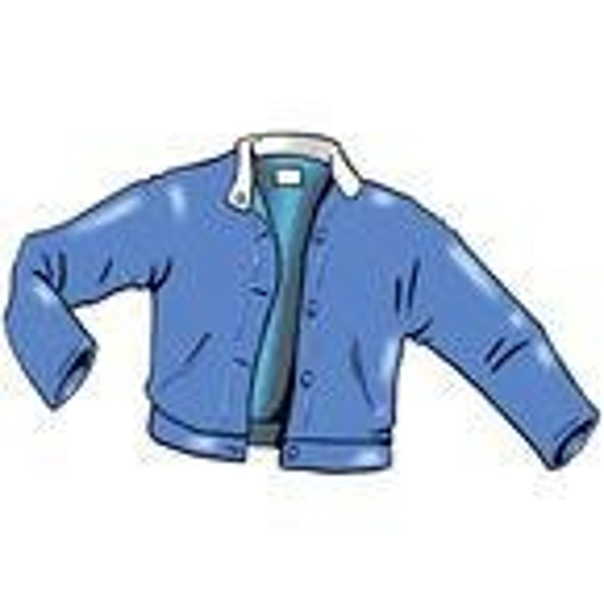 <p>la chaqueta</p>
