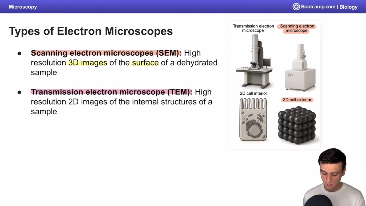 <p>electron microscope that scans highh resolution 2D images of the internal structure of a sample </p>