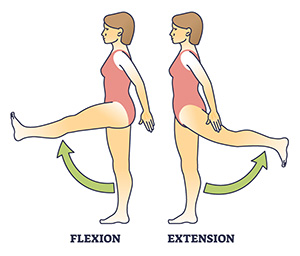 <p>Ex-</p>