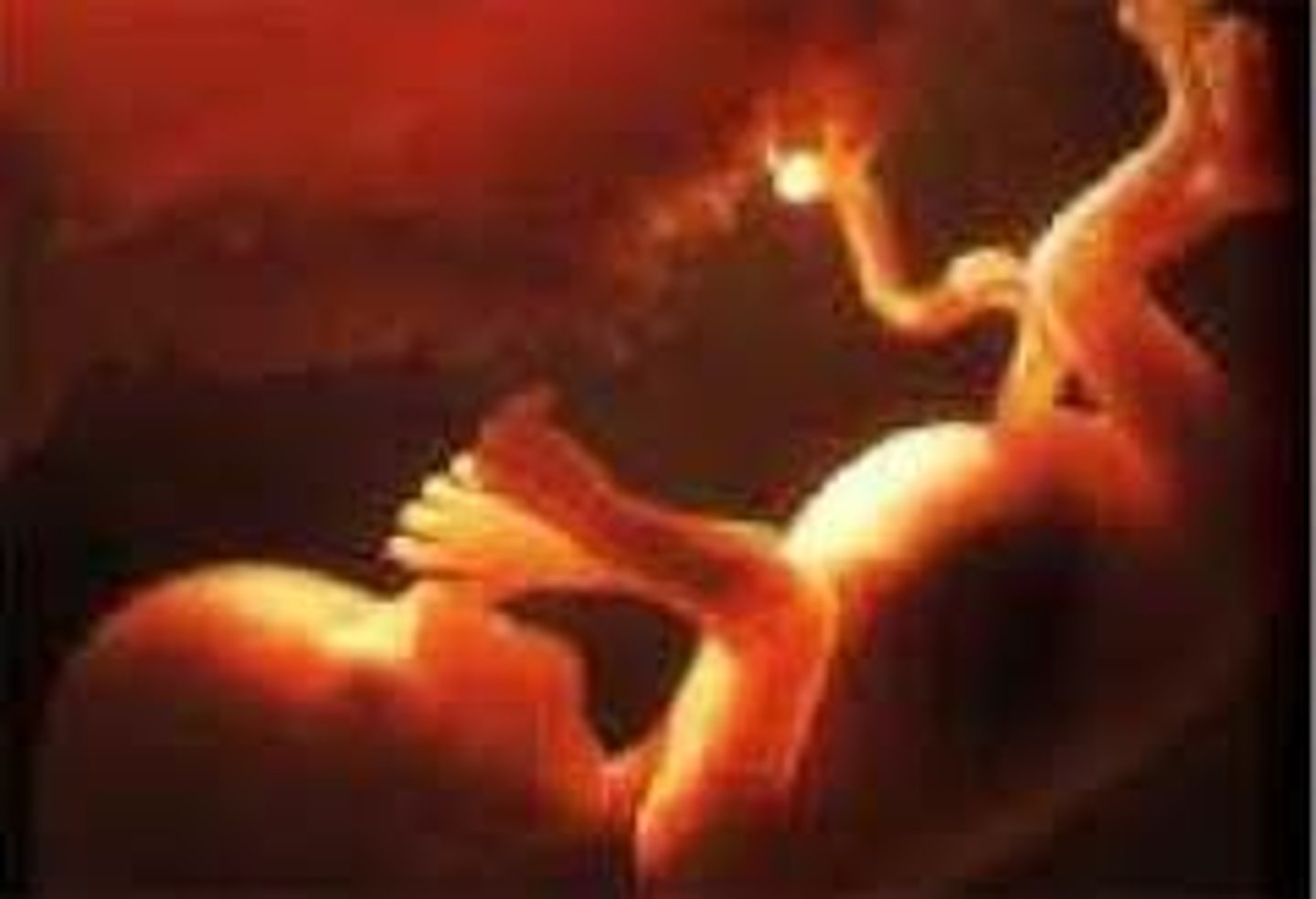 <p>- PERIOD OF THE FETUS</p><p>- Rapid growth and functional development</p><p>The fetus:</p><p>• Grows rapidly</p><p>• Gains weight</p><p>• Organs mature</p><p>• Begins moving</p><p>• Can hear sounds</p><p>• Practices breathing</p><p>- Most physical growth occurs during this stage.</p>