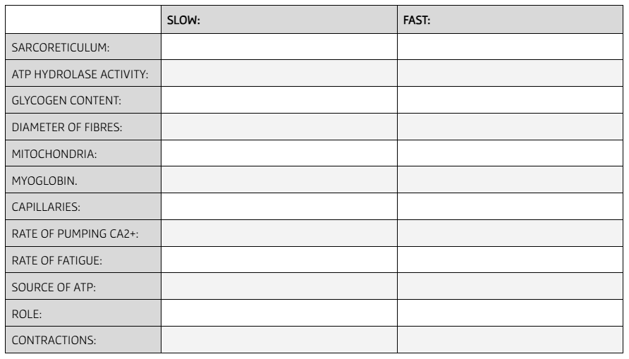 <p>COMPARE SLOW AND FAST TWITCH FIBRES:</p>