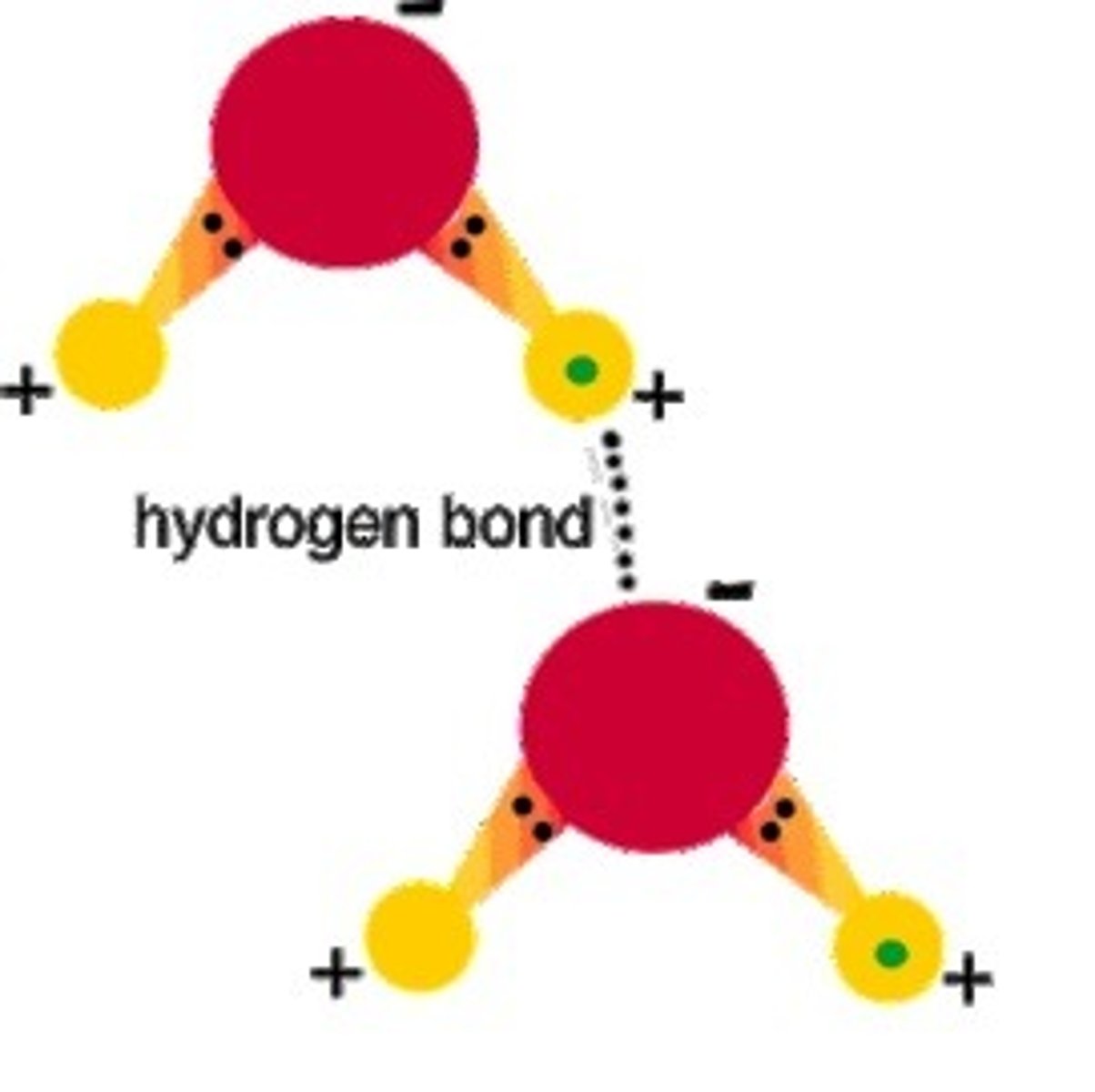 <p>Attraction (weak) between a partially positive H atom of one polar molecule and a partially negative atom (O or N) of another polar molecule</p>