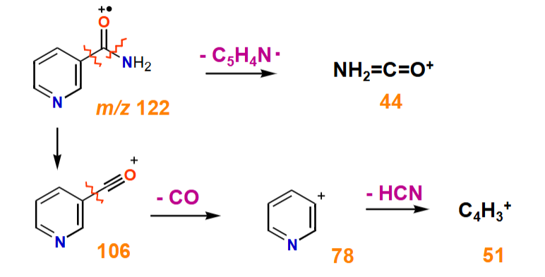 <ul><li><p><span>Proportion of molecular ions fragment at the C-C bond</span></p></li></ul><ul><li><p><span>Other molecular ions fragment at the amide C-N bond</span></p></li></ul><p></p>