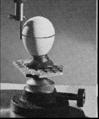 <p>Define the following:</p><p>Portion of the crown of a tooth gingival to survey line, or height of contour</p>