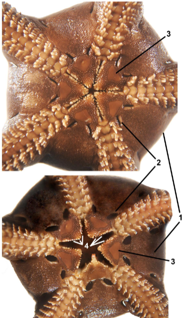 <p>class</p><p>label</p>