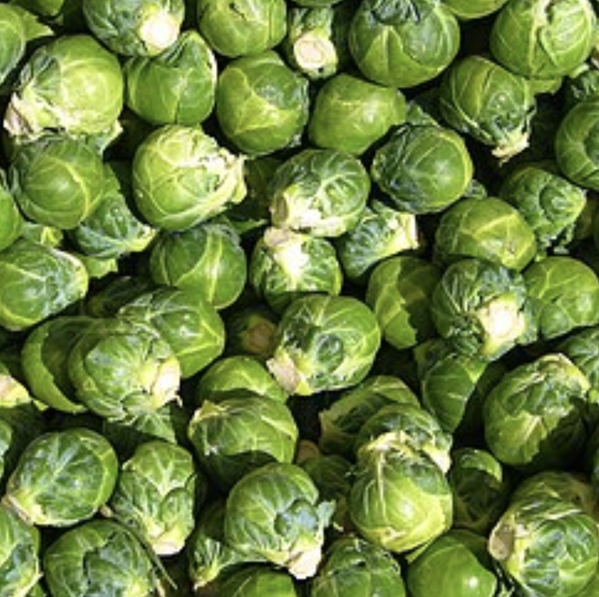 <p>Brussel Sprout</p>