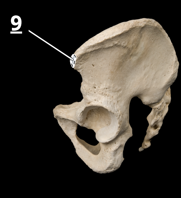 <p>9</p>