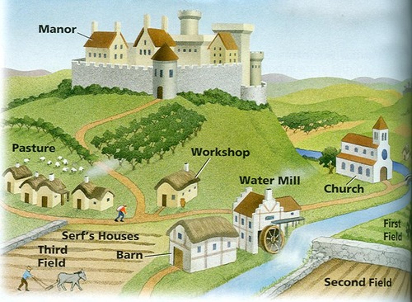 <p>a lord's estate</p><p>during middle ages, manor system was the basic economic arrangement, rested on a set of rights and obligations between a lord and his serfs, lord provided serfs w/housing, farmland, protection, serfs tended to lord's lands, cared for animals, and performed other tasks to maintain estate</p>