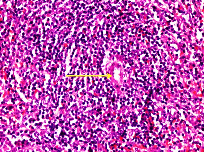 <p>Cấu trúc gì ?</p>