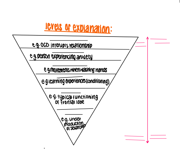 <p>fill in the gaps for the triangle showing the levels of explanation</p>