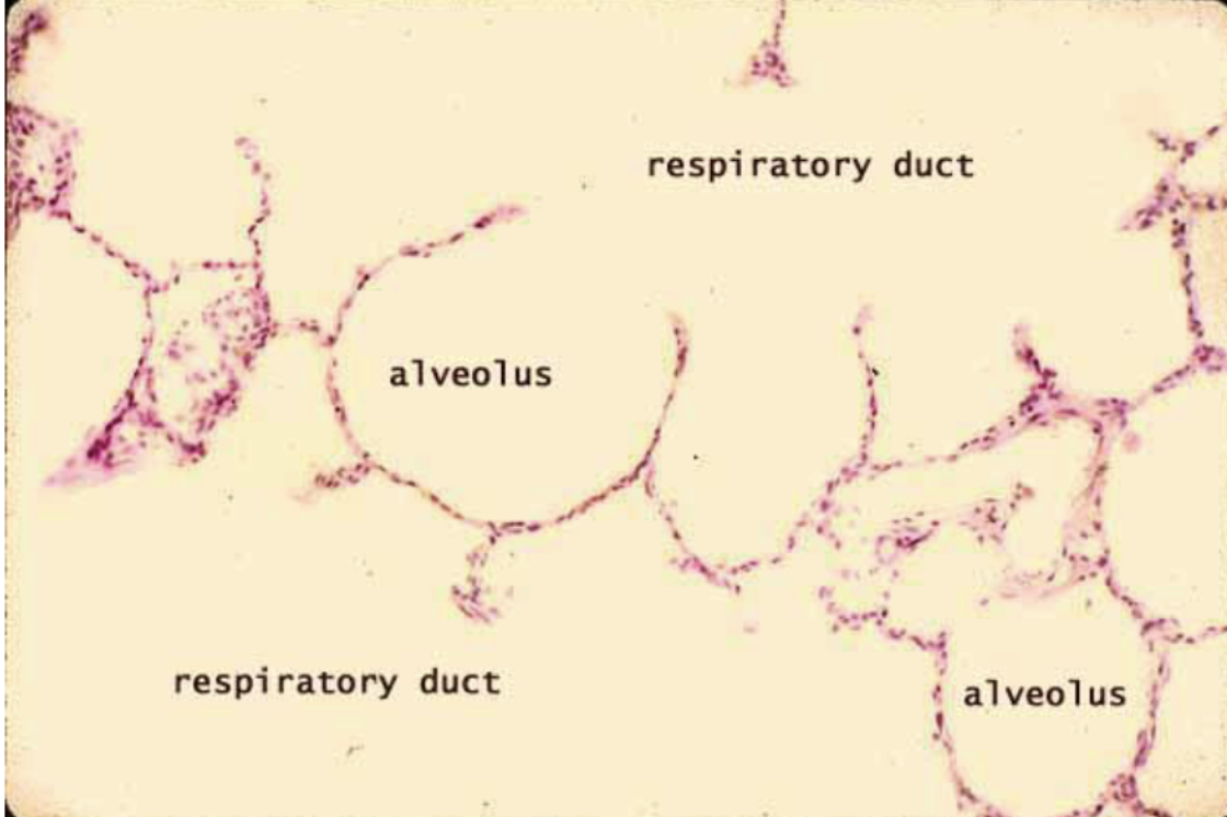 <p>What is this?</p>