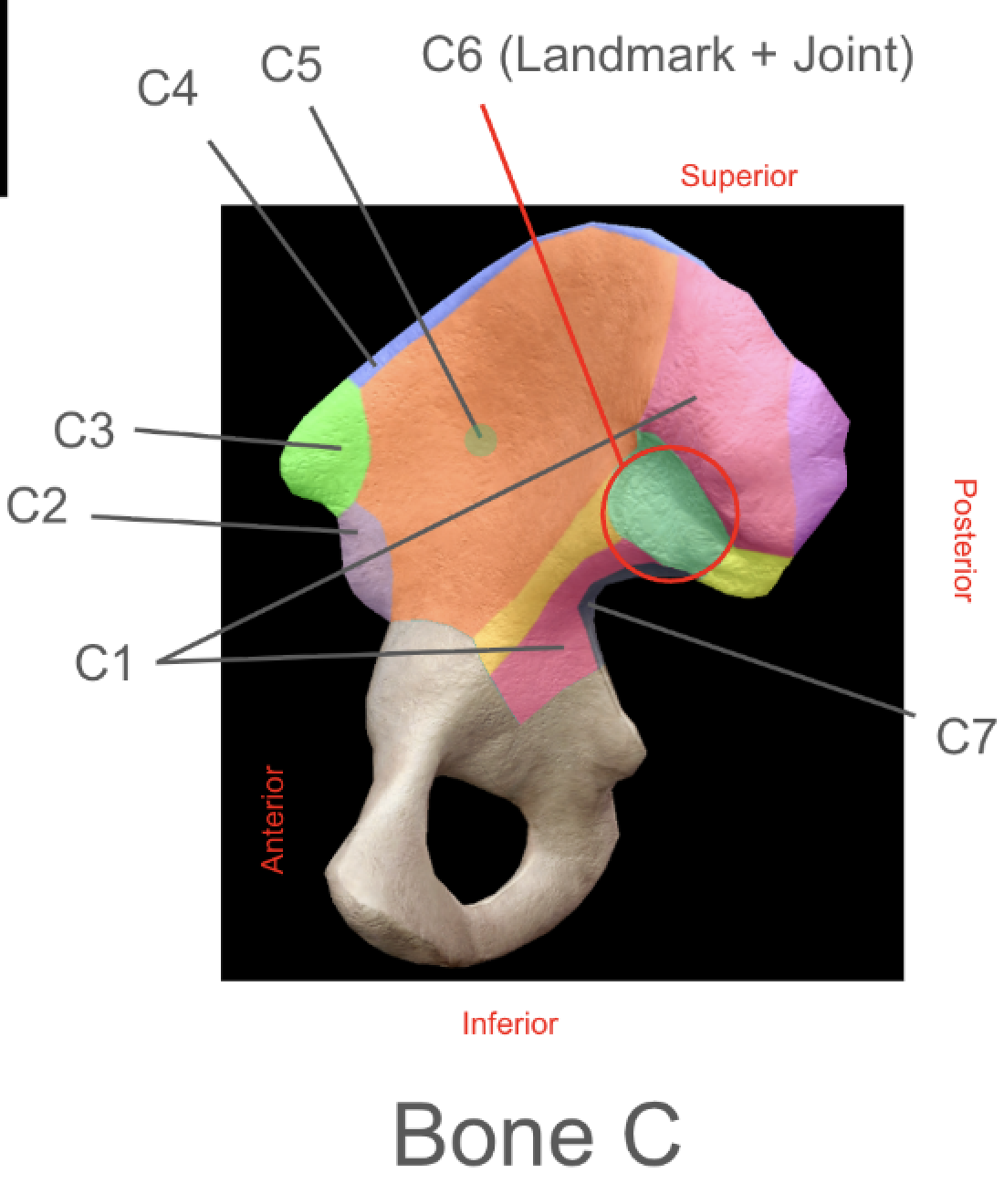 term image