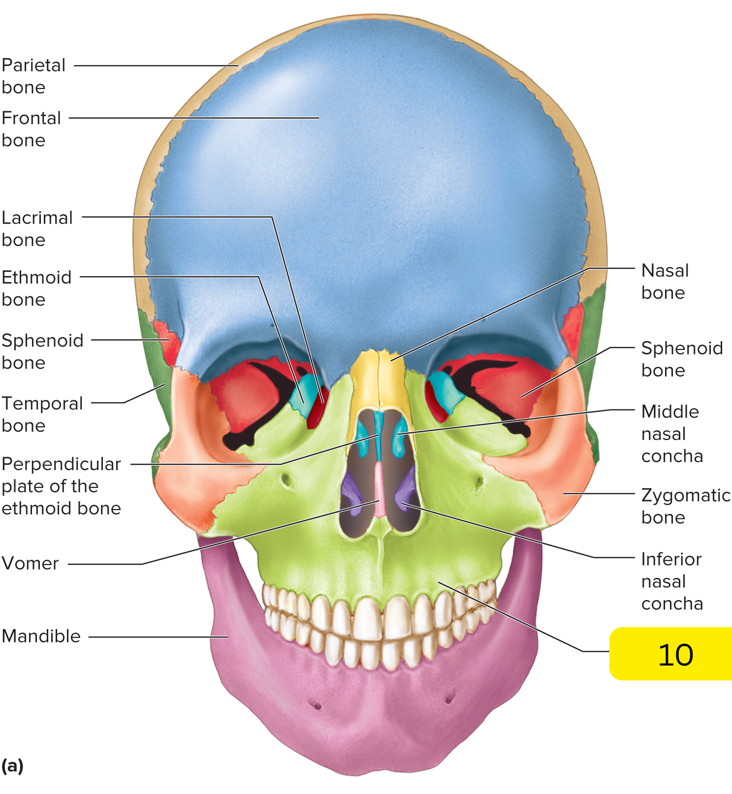 <p>What’s #10?</p>