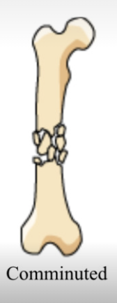<p>break into several pieces</p>